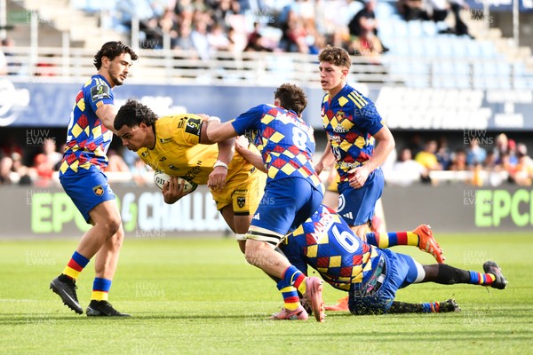 071225 - USA Perpignan v Dragons RFC - EPCR Challenge Cup - Mackenzie Martin of Dragons RFC