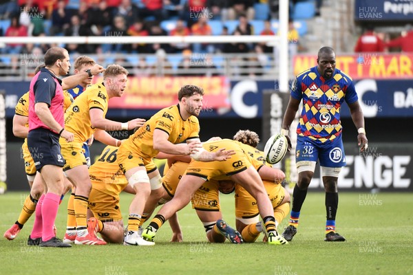 071225 - USA Perpignan v Dragons RFC - EPCR Challenge Cup - Thomas Young of Dragons RFC watched by Mahamadou Diaby of USAP