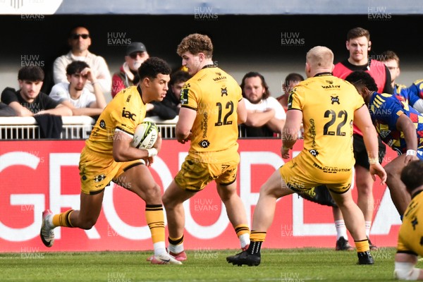 071225 - USA Perpignan v Dragons RFC - EPCR Challenge Cup - Rio Dyer of Dragons RFC