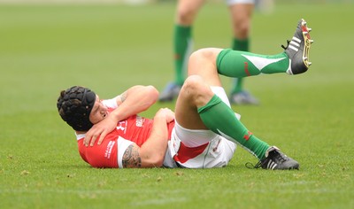 06.06.09 - USA Eagles v Wales - Wales' Tom James holds his shoulder in pain. 