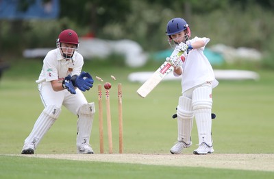 130714 - Usk Cricket Club v Newport Gwent Dragons, Charity T20 Cricket match, Usk - Junior match 