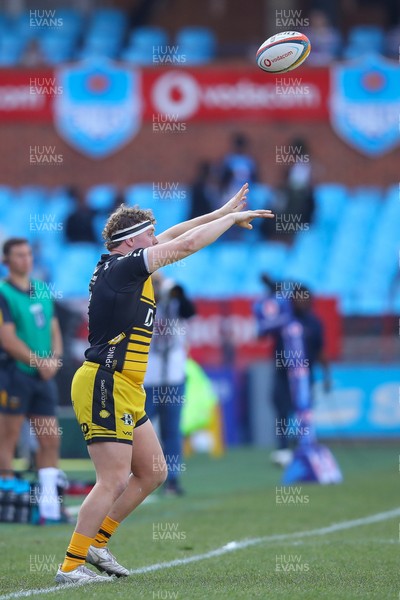 170525 - Vodacom Bulls v Dragons RFC - United Rugby Championship - Brodie Coghlan of Dragons throws in to a line out