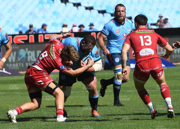 180322 - Vodacom Bulls v Scarlets - United Rugby Championship - Wilco Louw of the Bulls in action