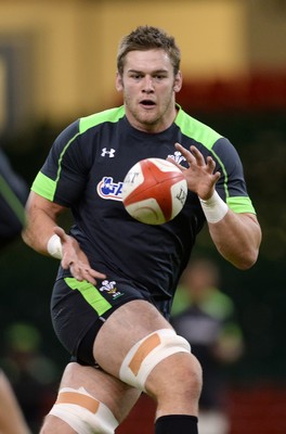 071114 - Wales Captains Run - Dan Lydiate during training