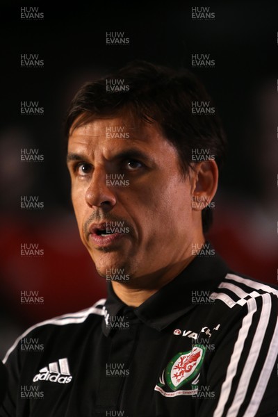 130616 - Wales Football Press Conference - Chris Coleman (Manager) talks to the media