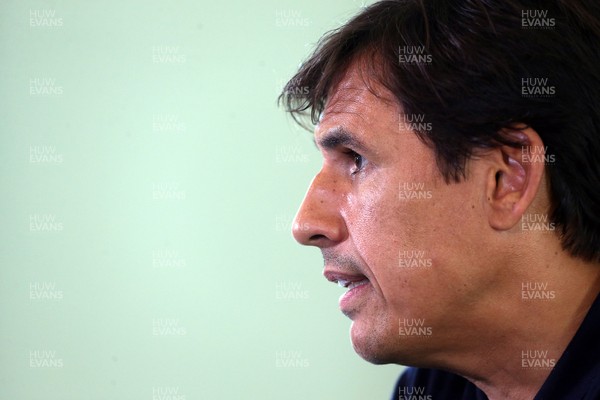 250817 - Wales Football Press Conference - Wales Manager Chris Coleman talks to the media