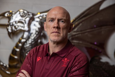070825 - Picture shows new Wales Senior Mens Head Coach Steve Tandy at the Principality Stadium today