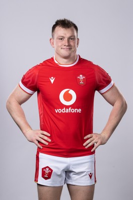 151124 - Wales Rugby Squad Portraits - Nick Tompkins