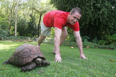 31.05.08 Wales rugby in S.Africa... Wales' Shane Williams shows a tortoise how to run in the garden of the team hotel in Cape Town.   