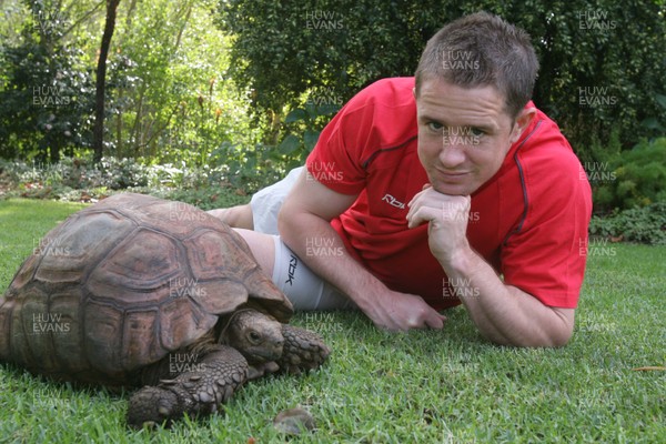 31.05.08 Wales rugby in S.Africa... Fast and Slow...Wales' Shane Williams and a tortoise  in the garden of the team hotel in Cape Town.   