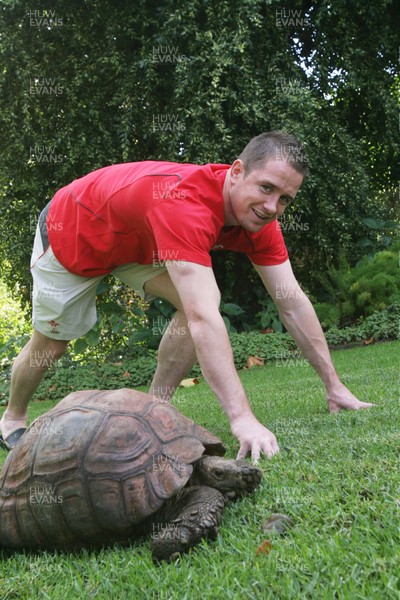 31.05.08 Wales rugby in S.Africa... Wales' Shane Williams shows a tortoise how to run in the garden of the team hotel in Cape Town.   