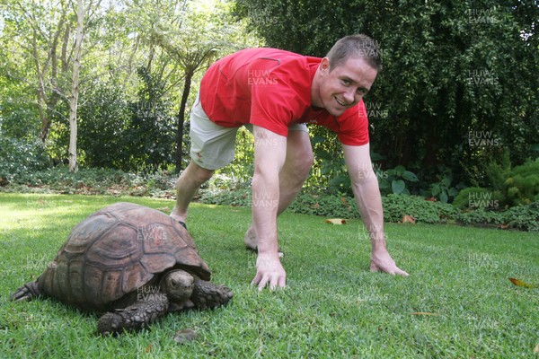 31.05.08 Wales rugby in S.Africa... Wales' Shane Williams shows a tortoise how to run in the garden of the team hotel in Cape Town.   