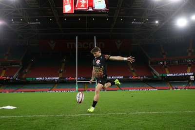 081125 - Wales Rugby Captains Run ahead of their first game against Argentina - Dan Edwards during training
