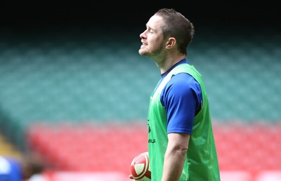 11.03.11 - Wales Captains Run -  Shane Williams during training session 