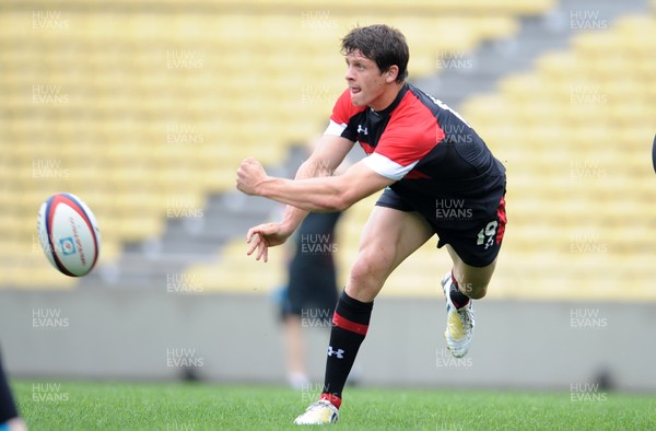 140613 - Wales Rugby Captains Run -Lloyd Williams during training