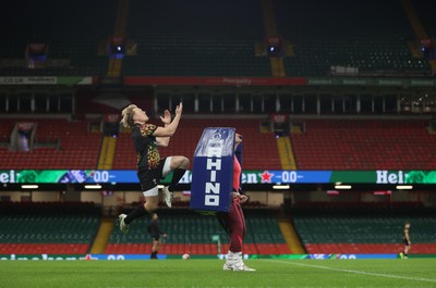 141125 - Wales Rugby Captains Run ahead of their game against Japan - Blair Murray during training