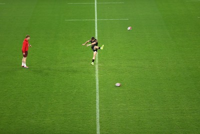 141125 - Wales Rugby Captains Run ahead of their game against Japan - Dan Edwards during training