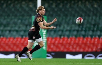 141125 - Wales Rugby Captains Run ahead of their game against Japan - Blair Murray during training