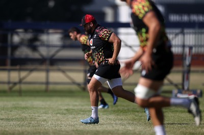 170726 - Wales Rugby Captains Run in Durban ahead of their Nations Championship game against South Africa tomorrow - Nicky Smith during training