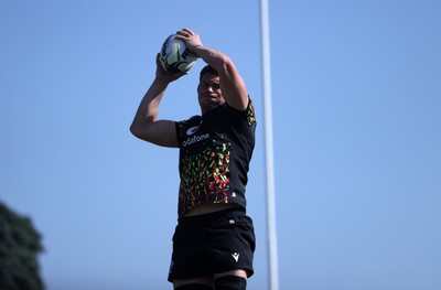 170726 - Wales Rugby Captains Run in Durban ahead of their Nations Championship game against South Africa tomorrow - James Botham during training