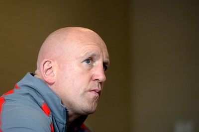 Wales Rugby Media Interviews 020614