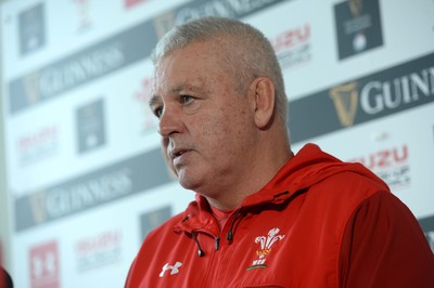 Wales Rugby Media Interviews 050319