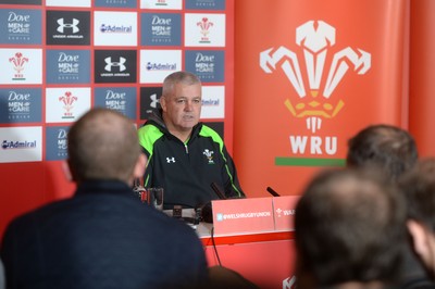 Wales Rugby Media Interviews 061114