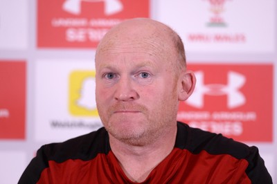 Wales Rugby Media Interviews 081116