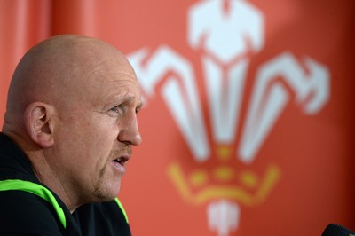 Wales Rugby Media Interviews 090315