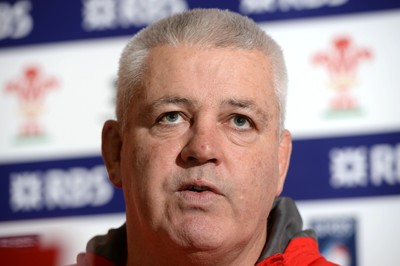 Wales Rugby Media Interviews 110214