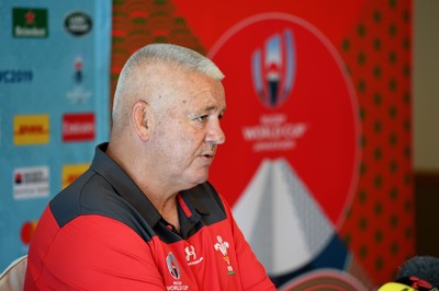 Wales Rugby Media Interviews 111019