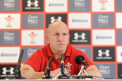 Wales Rugby Media Interviews 111113