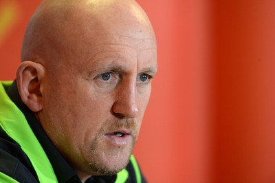 131114 - Wales Rugby Media Interviews -Shaun Edwards talks to media