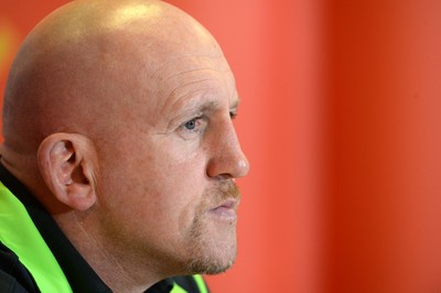 131114 - Wales Rugby Media Interviews -Shaun Edwards talks to media