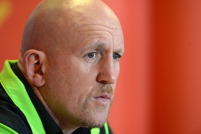 131114 - Wales Rugby Media Interviews -Shaun Edwards talks to media