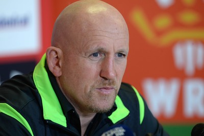 131114 - Wales Rugby Media Interviews -Shaun Edwards talks to media