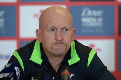 131114 - Wales Rugby Media Interviews -Shaun Edwards talks to media