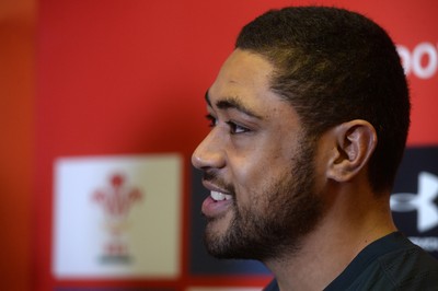 131114 - Wales Rugby Media Interviews -Taulupe Faletau talks to media