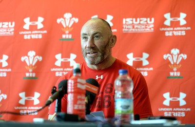 Wales Rugby Media Interviews 131118