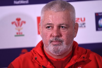 Wales Rugby Media Interviews 150318