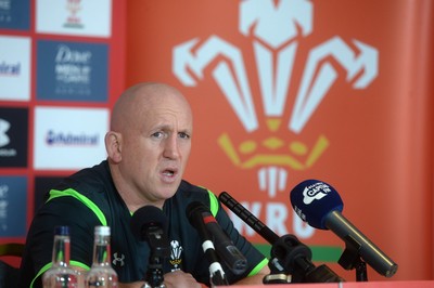 201114 - Wales Rugby Media Interviews -Shaun Edwards talks to media