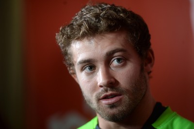 201114 - Wales Rugby Media Interviews -Leigh Halfpenny talks to media