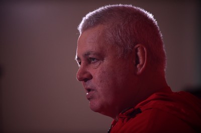 Wales Rugby Media Interviews 201117