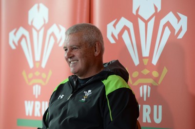 Wales Rugby Media Interviews 250615