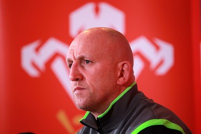 251114 - Wales Rugby Media Interviews - Coach Shaun Edwards talks to the press