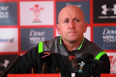 251114 - Wales Rugby Media Interviews - Coach Shaun Edwards talks to the press