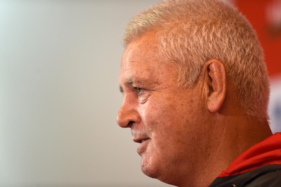 Wales Rugby Media Interviews 290819