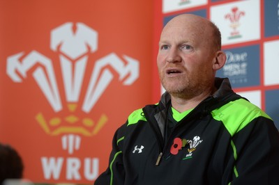 Wales rugby Media Interviews 291014