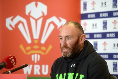 Wales Rugby Media Interviews 301114