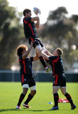 04.09.11 - Wales Rugby Training - Luke Charteris take high ball during training. 
